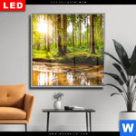 Wechselmotiv Dia Sonne Im Gruenen Wald Quadrat Produktvorschau mit dem Bild Sonne im grünen Wald im Format Quadrat.