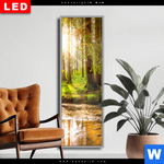 Wechselmotiv Dia Sonne Im Gruenen Wald Schmal Produktvorschau mit dem Bild Sonne im grünen Wald im Format Schmal.