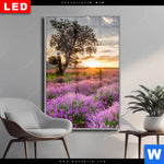 Wechselmotiv Dia Sonnenaufgang Im Lavendelfeld Hochformat Produktvorschau mit dem Bild Sonnenaufgang im Lavendelfeld im Format Hochformat.