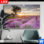 Wechselmotiv Dia Sonnenaufgang Im Lavendelfeld Querformat Produktvorschau mit dem Bild Sonnenaufgang im Lavendelfeld im Format Querformat.