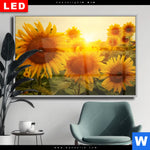 Wechselmotiv Dia Sonnenblumen Im Abendlicht Querformat Produktvorschau mit dem Bild Sonnenblumen im Abendlicht im Format Querformat.