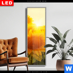 Wechselmotiv Dia Sonnenblumen Im Abendlicht Schmal Produktvorschau mit dem Bild Sonnenblumen im Abendlicht im Format Schmal.