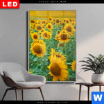Wechselmotiv Dia Sonnenblumenfeld Hochformat Produktvorschau mit dem Bild Sonnenblumenfeld im Format Hochformat.