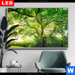 Wechselmotiv Dia Sonnendurchfluteter Baum Querformat Produktvorschau mit dem Bild Sonnendurchfluteter Baum im Format Querformat.
