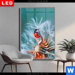 Wechselmotiv Dia Sonnenkaefer Auf Pusteblume Hochformat Produktvorschau mit dem Bild Sonnenkäfer auf Pusteblume im Format Hochformat.