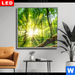 Wechselmotiv Dia Sonnenstrahlen Im Dichten Wald Quadrat Produktvorschau mit dem Bild Sonnenstrahlen im dichten Wald im Format Quadrat.