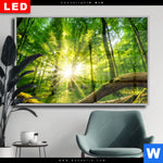 Wechselmotiv Dia Sonnenstrahlen Im Dichten Wald Querformat Produktvorschau mit dem Bild Sonnenstrahlen im dichten Wald im Format Querformat.