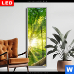 Wechselmotiv Dia Sonnenstrahlen Im Dichten Wald Schmal Produktvorschau mit dem Bild Sonnenstrahlen im dichten Wald im Format Schmal.