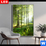 Wechselmotiv Dia Sonniger Morgen Im Wald Hochformat Produktvorschau mit dem Bild Sonniger Morgen im Wald im Format Hochformat.