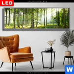 Wechselmotiv Dia Sonniger Morgen Im Wald Panorama Produktvorschau mit dem Bild Sonniger Morgen im Wald im Format Panorama.