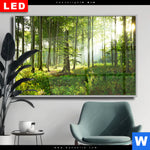 Wechselmotiv Dia Sonniger Morgen Im Wald Querformat Produktvorschau mit dem Bild Sonniger Morgen im Wald im Format Querformat.