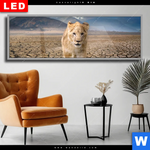 Wechselmotiv Dia Spiegelbild Loewe Loewenjunges Panorama Produktvorschau mit dem Bild Spiegelbild Löwe & Löwenjunges im Format Panorama.