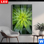 Wechselmotiv Dia Spitze Agavenblaetter Hochformat Produktvorschau mit dem Bild Spitze Agavenblätter im Format Hochformat.