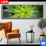 Wechselmotiv Dia Spitze Agavenblaetter Panorama Produktvorschau mit dem Bild Spitze Agavenblätter im Format Panorama.