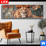 Wechselmotiv Dia Stolzer Blick Des Loewen Panorama Produktvorschau mit dem Bild Stolzer Blick des Löwen im Format Panorama.