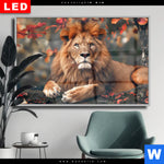 Wechselmotiv Dia Stolzer Blick Des Loewen Querformat Produktvorschau mit dem Bild Stolzer Blick des Löwen im Format Querformat.