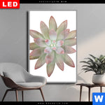 Wechselmotiv Dia Sukkulente No 1 Hochformat Produktvorschau mit dem Bild Sukkulente No.1 im Format Hochformat.