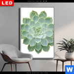 Wechselmotiv Dia Sukkulente No 2 Hochformat Produktvorschau mit dem Bild Sukkulente No.2 im Format Hochformat.