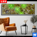 Wechselmotiv Dia Tautropfen Auf Moos Panorama Produktvorschau mit dem Bild Tautropfen auf Moos im Format Panorama.