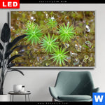 Wechselmotiv Dia Tautropfen Auf Moos Querformat Produktvorschau mit dem Bild Tautropfen auf Moos im Format Querformat.