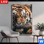 Wechselmotiv Dia Tiger Im Wasser Hochformat Produktvorschau mit dem Bild Tiger im Wasser im Format Hochformat.