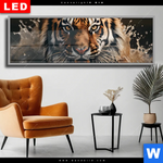 Wechselmotiv Dia Tiger Im Wasser Panorama Produktvorschau mit dem Bild Tiger im Wasser im Format Panorama.