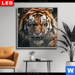Wechselmotiv Dia Tiger Im Wasser Quadrat Produktvorschau mit dem Bild Tiger im Wasser im Format Quadrat.