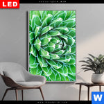 Wechselmotiv Dia Tropische Pflanze Hochformat Produktvorschau mit dem Bild Tropische Pflanze im Format Hochformat.