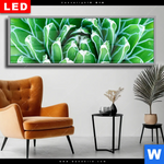 Wechselmotiv Dia Tropische Pflanze Panorama Produktvorschau mit dem Bild Tropische Pflanze im Format Panorama.