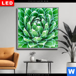 Wechselmotiv Dia Tropische Pflanze Quadrat Produktvorschau mit dem Bild Tropische Pflanze im Format Quadrat.