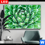 Wechselmotiv Dia Tropische Pflanze Querformat Produktvorschau mit dem Bild Tropische Pflanze im Format Querformat.