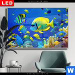 Wechselmotiv Dia Tropische Unterwasserwelt Querformat Produktvorschau mit dem Bild Tropische Unterwasserwelt im Format Querformat.