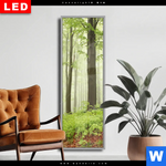 Wechselmotiv Dia Unberuehrte Natur Der Wald Schmal Produktvorschau mit dem Bild Unberührte Natur - Der Wald im Format Schmal.