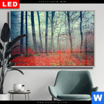 Wechselmotiv Dia Vertraeumter Wald Querformat Produktvorschau mit dem Bild Verträumter Wald im Format Querformat.