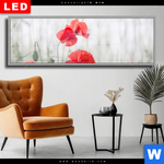 Wechselmotiv Dia Vintage Klatschmohn Panorama Produktvorschau mit dem Bild Vintage Klatschmohn im Format Panorama.