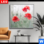 Wechselmotiv Dia Vintage Klatschmohn Quadrat Produktvorschau mit dem Bild Vintage Klatschmohn im Format Quadrat.