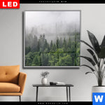 Wechselmotiv Dia Wald Im Nebel Quadrat Produktvorschau mit dem Bild Wald im Nebel im Format Quadrat.