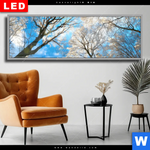 Wechselmotiv Dia Wald Im Winter Panorama Produktvorschau mit dem Bild Wald im Winter im Format Panorama.