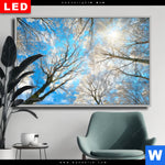 Wechselmotiv Dia Wald Im Winter Querformat Produktvorschau mit dem Bild Wald im Winter im Format Querformat.