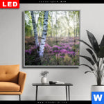 Wechselmotiv Dia Wald Mit Heideblumen Quadrat Produktvorschau mit dem Bild Wald mit Heideblumen im Format Quadrat.