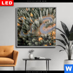 Wechselmotiv Dia Wald Strasse Von Oben Quadrat Produktvorschau mit dem Bild Wald & Straße von oben im Format Quadrat.