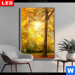 Wechselmotiv Dia Waldlandschaft Im Herbst Hochformat Produktvorschau mit dem Bild Waldlandschaft im Herbst im Format Hochformat.
