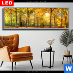 Wechselmotiv Dia Waldlandschaft Im Herbst Panorama Produktvorschau mit dem Bild Waldlandschaft im Herbst im Format Panorama.
