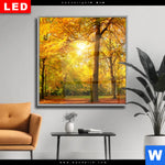 Wechselmotiv Dia Waldlandschaft Im Herbst Quadrat Produktvorschau mit dem Bild Waldlandschaft im Herbst im Format Quadrat.