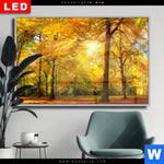 Wechselmotiv Dia Waldlandschaft Im Herbst Querformat Produktvorschau mit dem Bild Waldlandschaft im Herbst im Format Querformat.