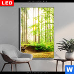 Wechselmotiv Dia Waldpanorama Hochformat Produktvorschau mit dem Bild Waldpanorama im Format Hochformat.