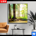 Wechselmotiv Dia Waldpanorama Quadrat Produktvorschau mit dem Bild Waldpanorama im Format Quadrat.