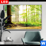 Wechselmotiv Dia Waldpanorama Querformat Produktvorschau mit dem Bild Waldpanorama im Format Querformat.