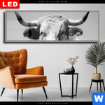 Wechselmotiv Dia Weisser Bulle Panorama Produktvorschau mit dem Bild Weisser Bulle im Format Panorama.