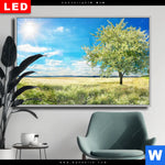 Wechselmotiv Dia Wiese Mit Bluehendem Baum Querformat Produktvorschau mit dem Bild Wiese mit blühendem Baum im Format Querformat.